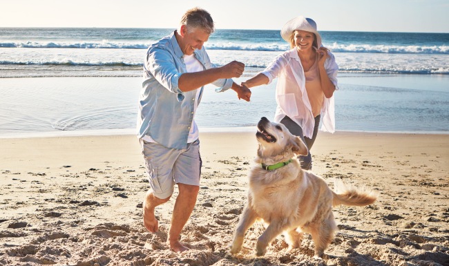 Couple and dog on beach